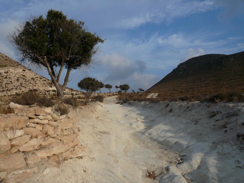 La Posidonia Apartman Rodalquilar Kültér fotó