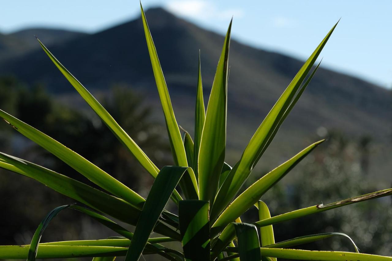 La Posidonia Apartman Rodalquilar Kültér fotó